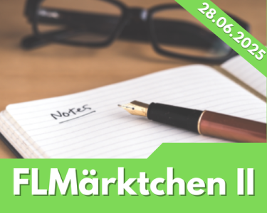 25-06-28 - FLMII